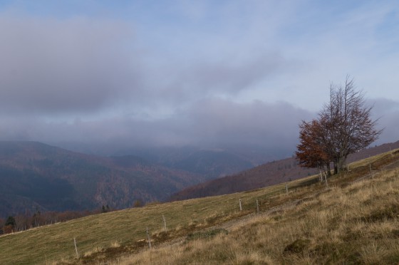paysage