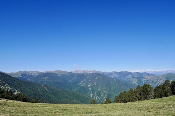 Paysage