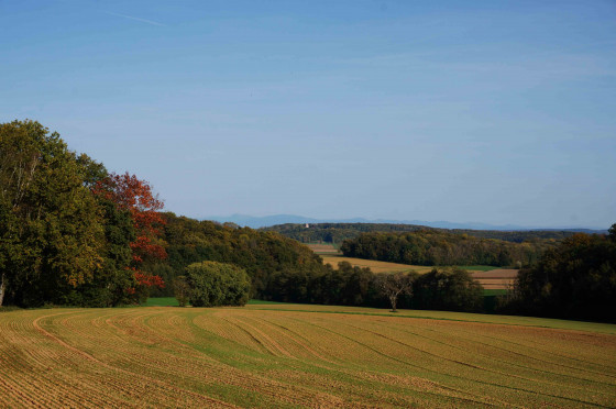 Paysage