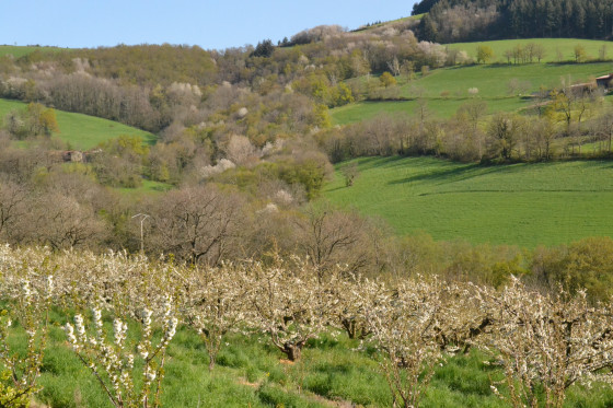 Paysage