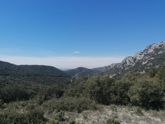 Paysage