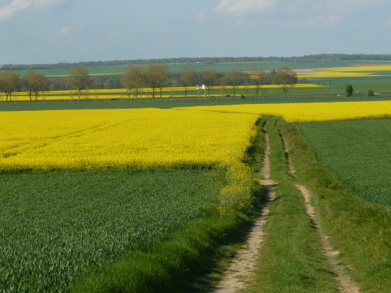 Paysage