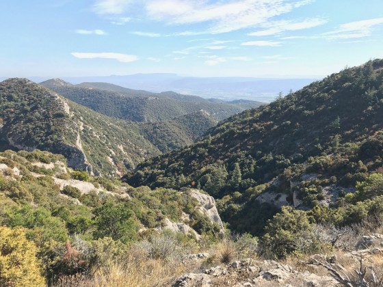 Paysage