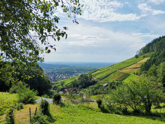Paysage