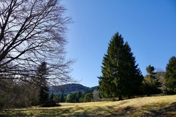 Paysage...