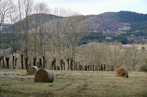 Paysage...