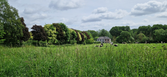 Paysage