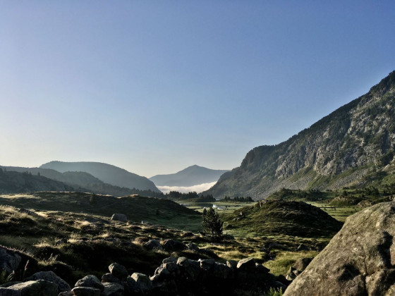 Paysage
