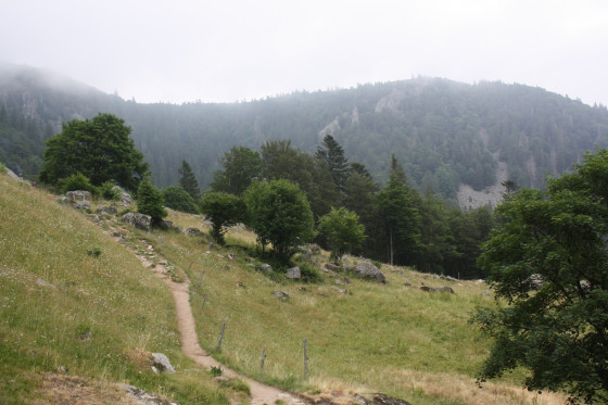 Paysage