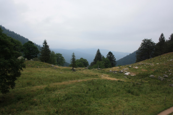 Paysage