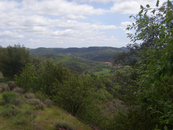 Paysage