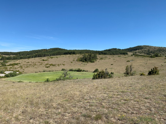 Paysages magnifiques du causse