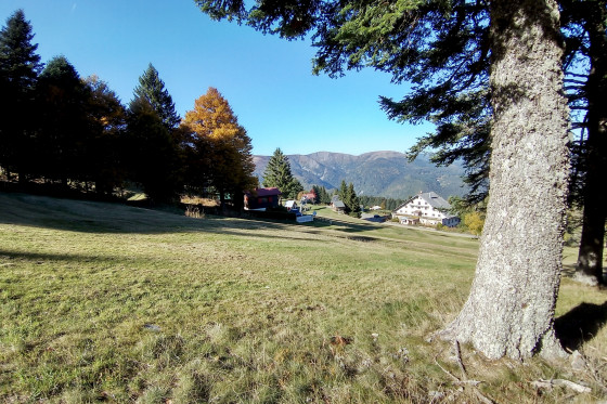 Paysages sur les cr&ecirc;tes et le massif du Hohneck