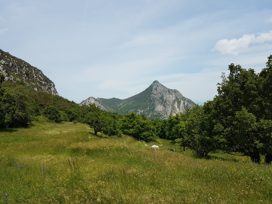 Paysages typiques