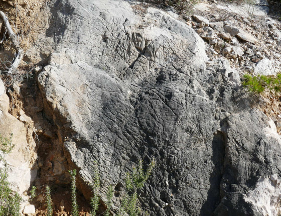 Peau d\'éléphant