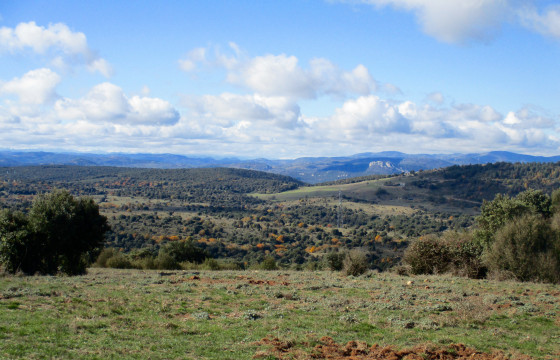 Pech de Guilloumet