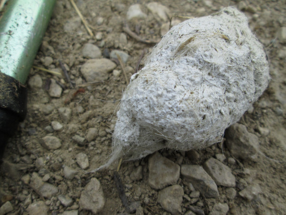 Pelote de réjection Pelote de réjection