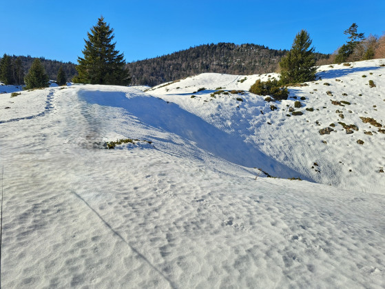 Pelouse derbounouse