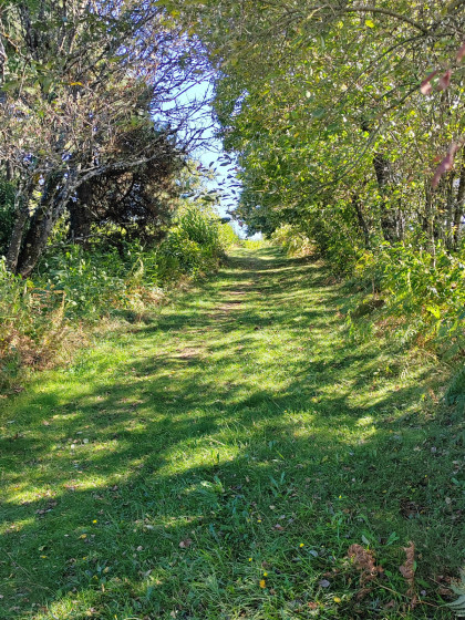 Pendant la balade