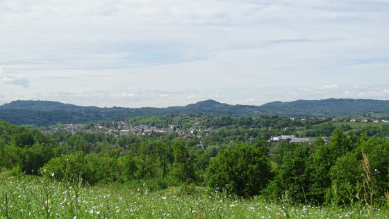 Pendant la montée