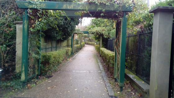 Pergola