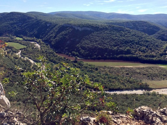 Pertus de Fabria