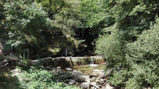 Petit barrage du moulin de Bru
