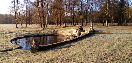 Petit bassin