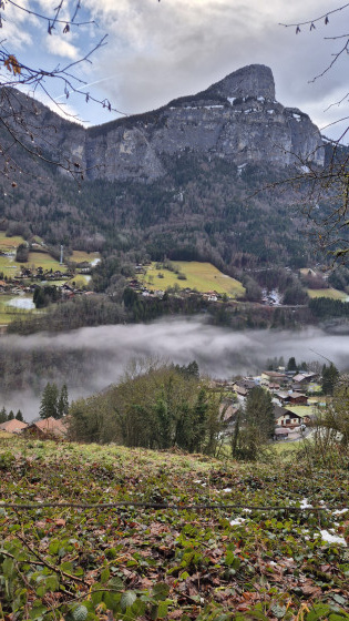 Petit-Bornand