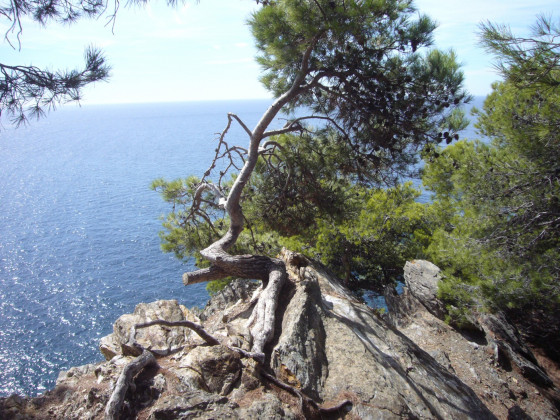 Sur un petit cap
