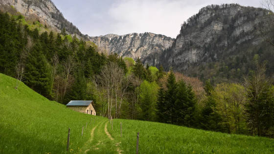 Petit chalet entre la Roize et Pr&eacute;fanton