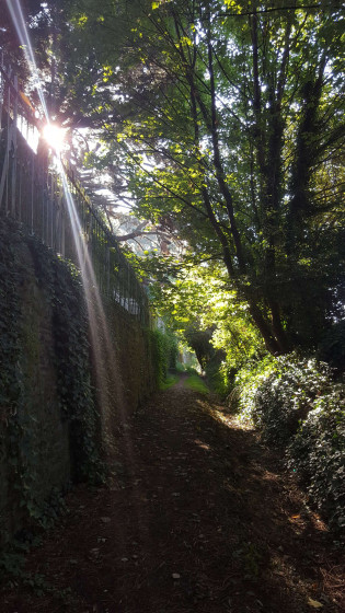 Petit chemin caché