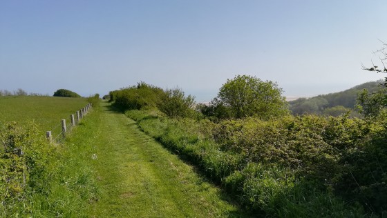 Petit chemin avec vue sur la plage