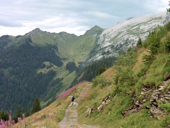 Petit chemin