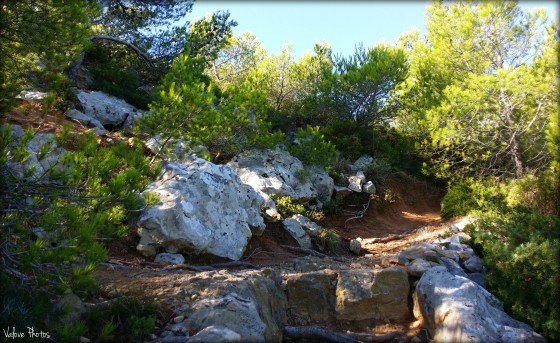 Petit chemin