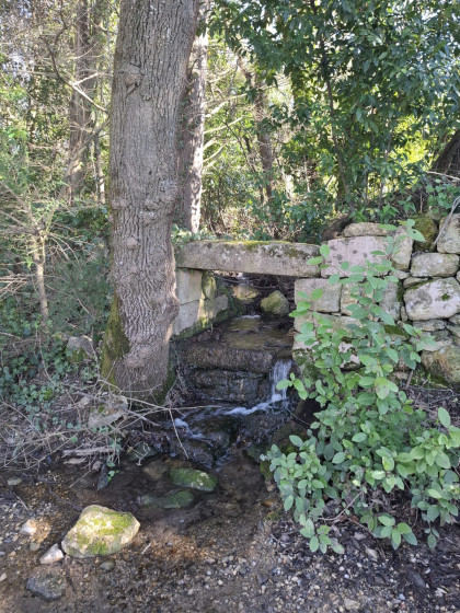 Petit cours d'eau