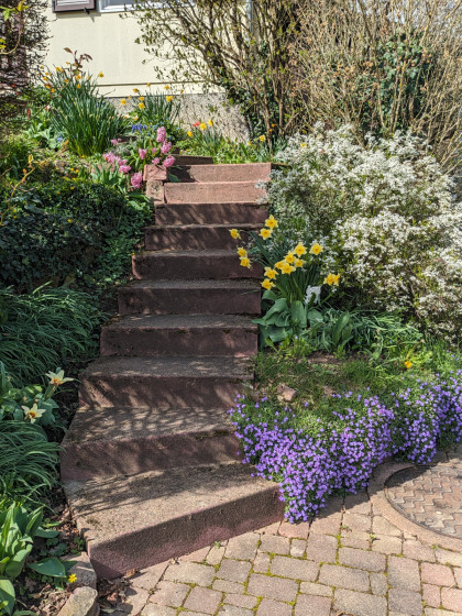 Petit escalier fleuri