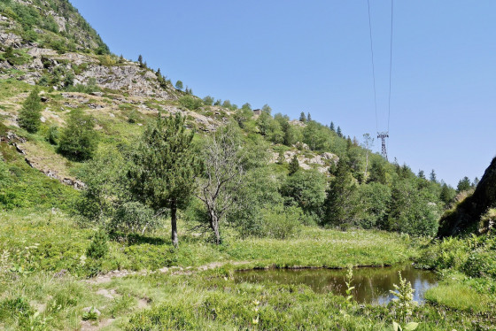 Petit étang