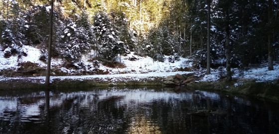 Petit étang