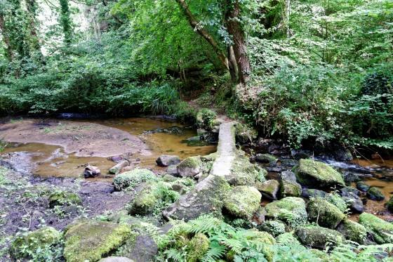 Petit passage sur le ruisseau de St Eturien