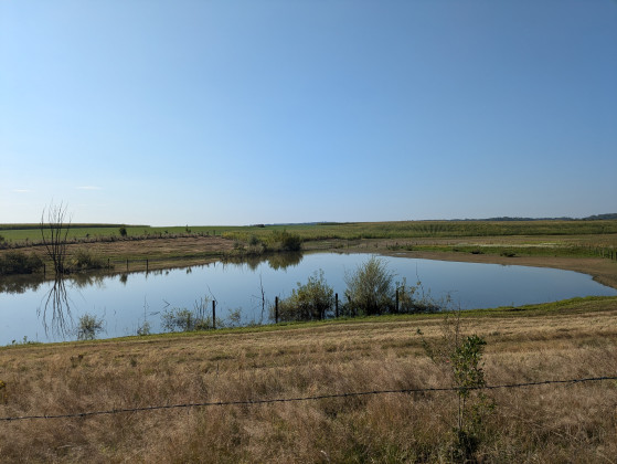 Petit plan d\'eau