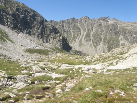 Petit plateau humide