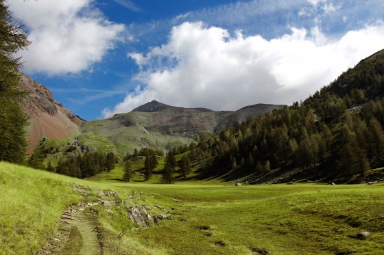 Petit plateau