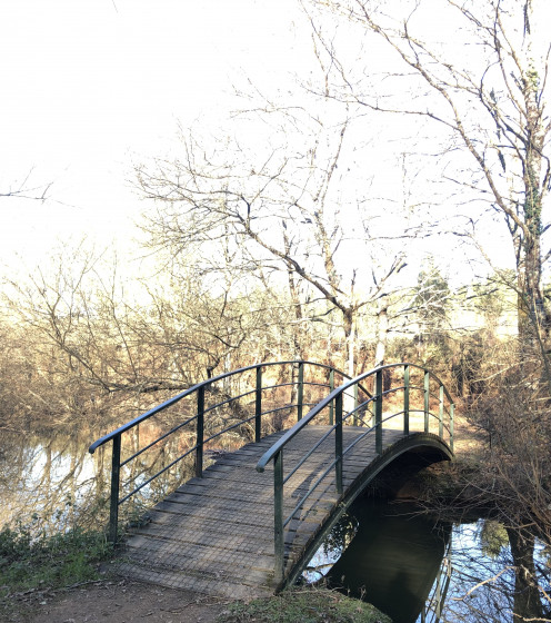 Petit pont au lac d'Ag&egrave;s