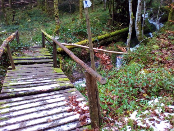 Petit pont de bois avant la Grande Cascade