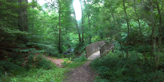 Petit pont de bois en forêt