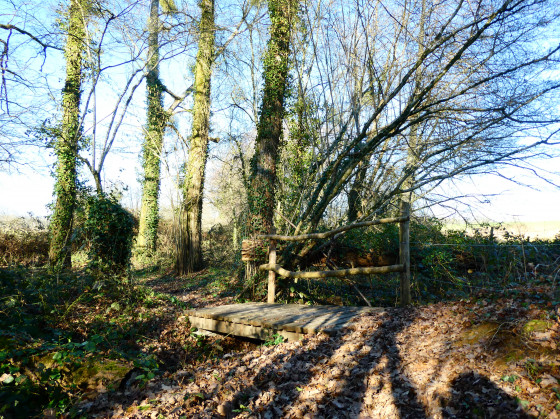 Petit pont de bois