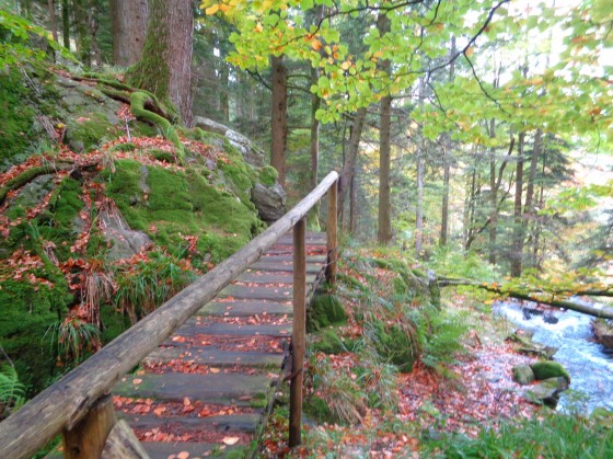 Petit pont de bois