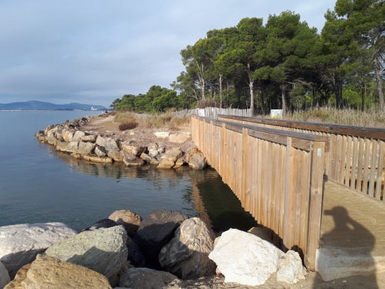 Petit pont de bois