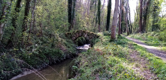 Petit pont de pierre sur la Mérantaise